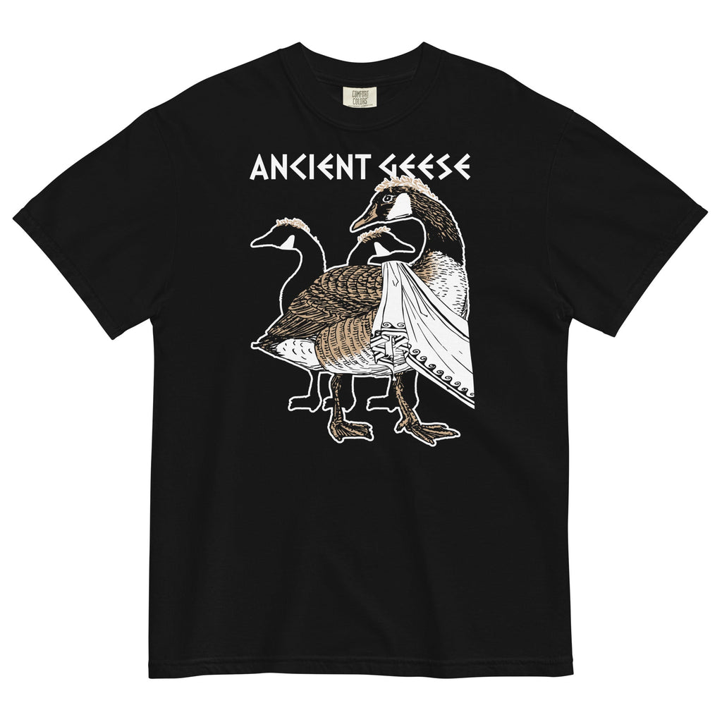 Ancient Geese Men's Relaxed Fit Tee product image 2