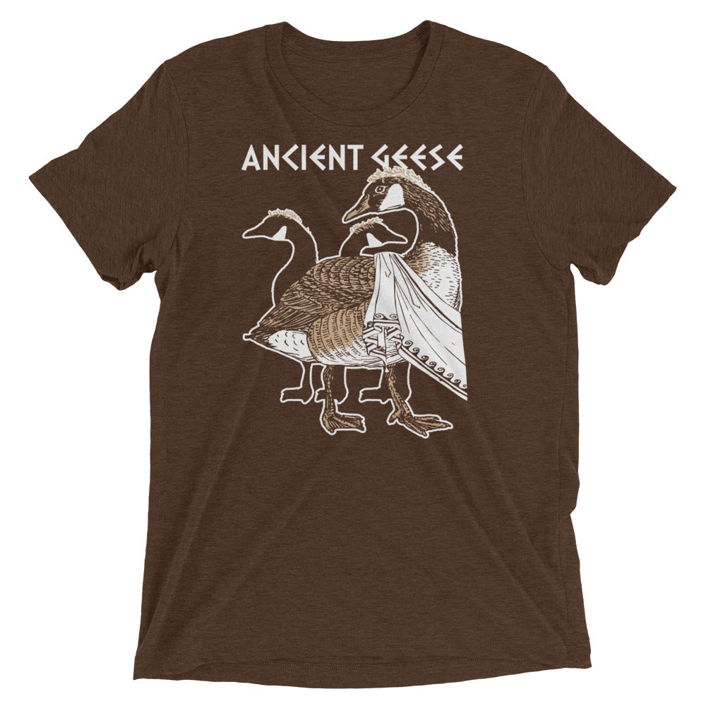 Ancient Geese Men's Tri-Blend Tee product image 4