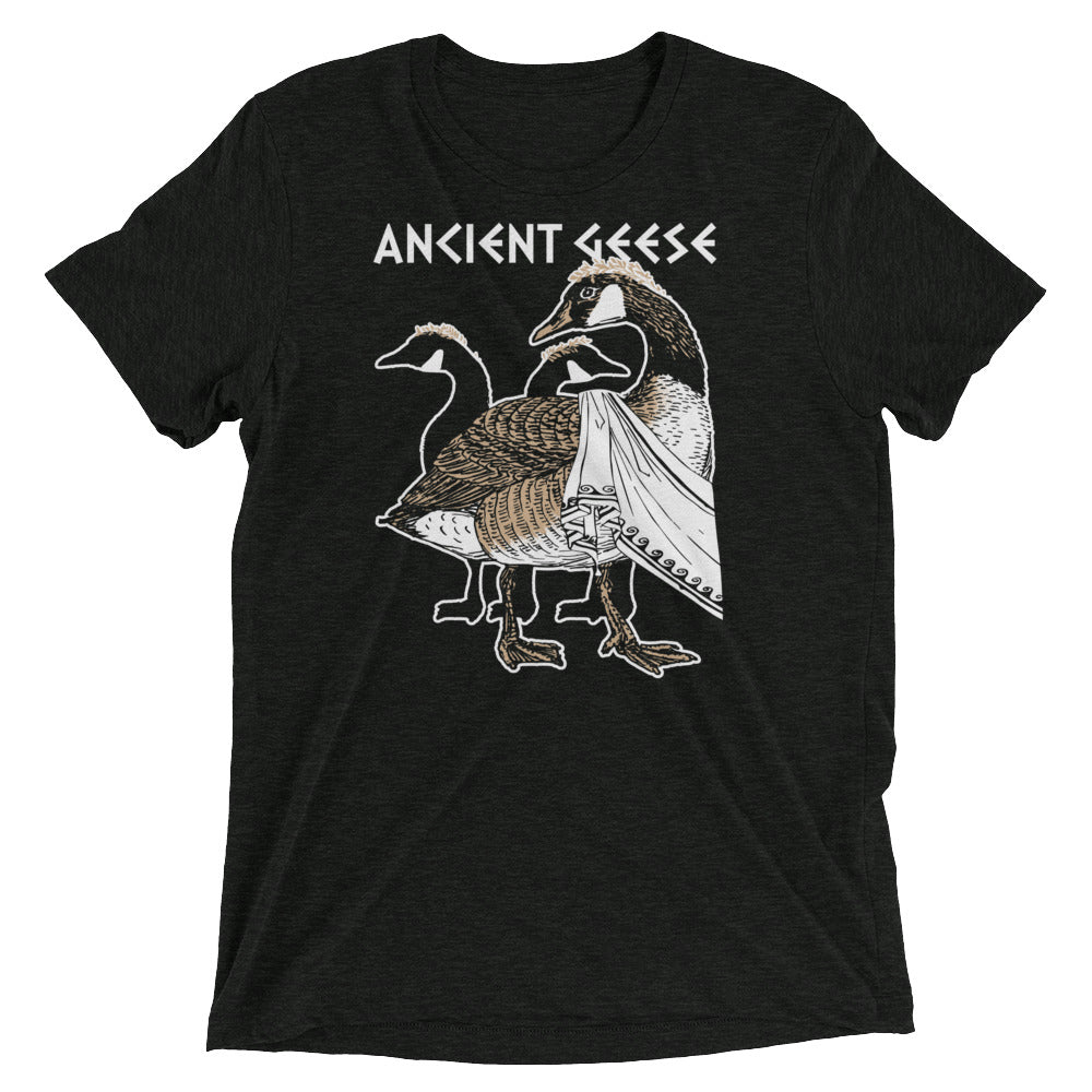 Ancient Geese Men's Tri-Blend Tee product image 2