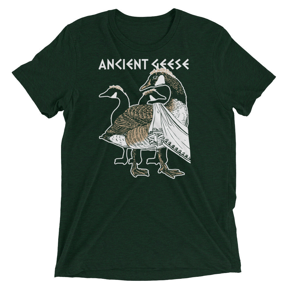Ancient Geese Men's Tri-Blend Tee product image 3